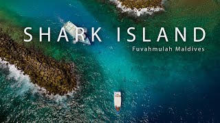 Shark Island  Fuvahmulah [upl. by Arratal]