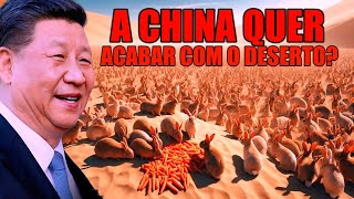 Porque a China deixou 1 Milhão de Coelhos no deserto [upl. by Karlotta841]