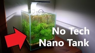 How To No Tech Nano Tank 2 Month Update [upl. by Miles]