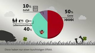 Diese Faktoren entscheiden über unser Glück [upl. by Lleoj]