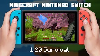 Minecraft Nintendo Switch  120 Gameplay [upl. by Claribel]