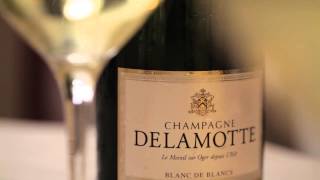 Delamotte new labels launch 2012 HD [upl. by Kilian]