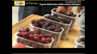 Il gusto della frutta e della verdura biologica di Vasco Franceschi  PianuraNewsTV [upl. by Acinorrev597]