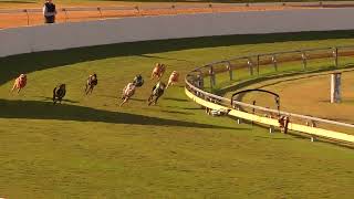 Bundaberg22072024Race11 [upl. by Ivo169]