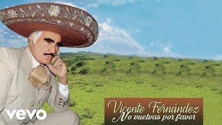 Vicente Fernández  No Vuelvas por Favor Lyric Video [upl. by Kingston]