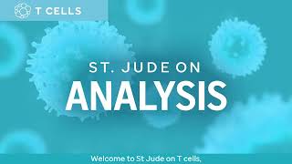 St Jude ON Analysis of T Cells [upl. by Aehcim]