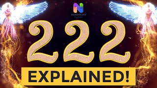 222 Angel Number  REWARDS are Coming YOUR WAY  Spiritual Message Explained [upl. by Nai]