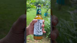 Reel 🍾🥂 Kumbayah Kombucha Original 🍾🥂 The Ultimate Probiotic Drink from Kerala 🍾🥂 [upl. by Ancilin]