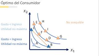 MICROECONOMÍA I  Teoría del Consumidor Maximización de la Utilidad  Introducción [upl. by Naivaj]