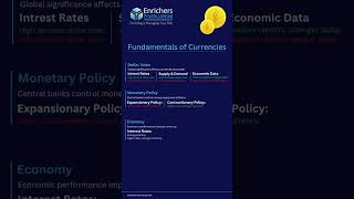 Fundamental of Currencies [upl. by Ama138]