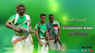 Saad Awwal WALLOON KAN WALLICHANEW ETHIOPIAN OROMO MUSIC 2024 Vedio Reaction [upl. by Purdum]