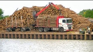 Holzverladung im Papenburger Hafen Teil 2  Loading Wood in Papenburg Germany Part 2 [upl. by Cole]