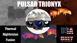 USA Only Pulsar Trionyx – Digital Nightvision thermal and fusion binocular [upl. by Adnawt]