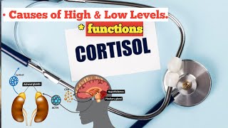 Cortisol  All about cortisol serum what is cortisol functions causes of low and high cortisol [upl. by Uhp]