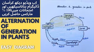 Plants life cycle and alternation of generation easy diagram [upl. by Litsyrk]