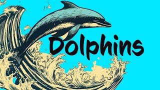 17 Dolphin FACTS to know 🐬 Animals for Kids [upl. by Richter486]