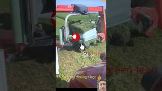 Edible grass 🍀 silage making technique shorts agriculture technology agritech automobile [upl. by Ecilegna]