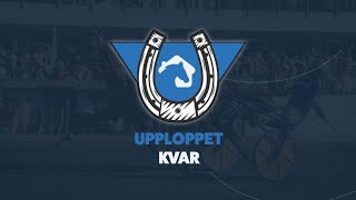 V75TIPS  UPPLOPPET KVAR  Årjäng 157 2023  TRAVSTUGANSE 10 [upl. by Buskirk]