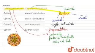 Gemmule formation is sponges is useful in [upl. by Shayn]