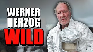 The Wildest Director Ever  Werner Herzog [upl. by Linnell157]