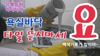 2탄》타일 가게 다 굶어 죽겠다 🥶 욕실 샤워장 4곳 원가10만원으로 아작😱철수세미로 빡빡 밀어보세요 페인트 주거도 안벚겨짐 [upl. by Fassold979]