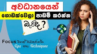 අවධානයෙන් පාඩම් කරන්නේ මෙහෙමයි How to focus on studying in Sinhala  Deep Work Technique Study Tips [upl. by Oedama707]