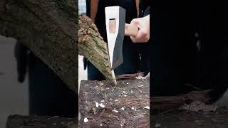 Wood chopping process with an axe goodtools to share [upl. by Ttihw]