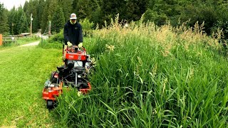 Helped My Wifes Friend MOW Her Overgrown GRASS That Was TALLER Than Me [upl. by Fara]