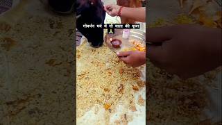 गोवर्धन पर्व में गौ माता की पूजा 🙏 vlog food chhattisgarh shorts diwali culture [upl. by Richards]