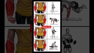 best forums workout At home bodybuilding homeworkout gymworkout fitness shortsfeed [upl. by Persian519]