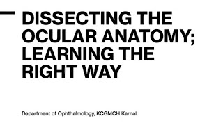 Dissecting the Ocular Anatomy  A Comprehensive Guide by Eye Surgeon ocular ophthalmology [upl. by Retloc]