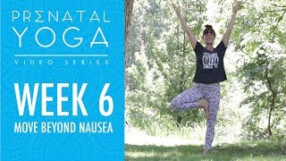 Week 6  Move Beyond Nausea Prenatal Yoga Series [upl. by Haikezeh]