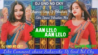 Aam Lelo Aam Lelo Bhojpuri Dj Song Hit Topari Vib Mix Dj Gnd Nd Cky X Dj AKR RMX [upl. by Acissej]