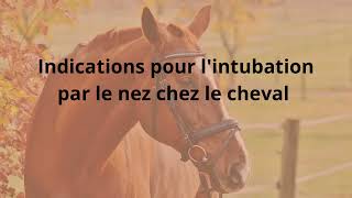 LIntubation chez le Cheval et le Poulain [upl. by Aenyl453]