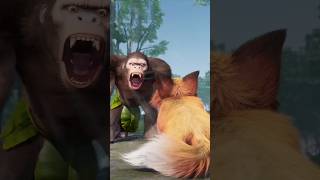 Fight between Gorilla And Wolfe rajumehershorts shorts youtubeshorts viralshorts [upl. by Somisareg]