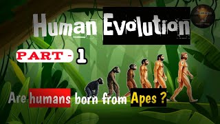 Human Evolution  part 1  evolution zoology [upl. by Acenahs]