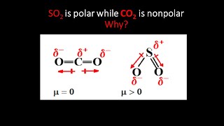 SO2 is polar while CO2 is nonpolar Why [upl. by Anaylil162]