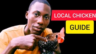 BEFORE YOU START LOCAL CHICKEN FARMING HEAR THIS [upl. by Dedrick]