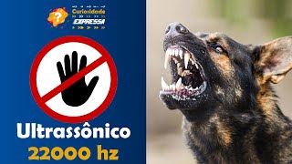 Anti Latido Ultrassônico 22000hz Espanta Cachorro [upl. by Ykcir865]