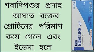 Edecure vet Bolus গবাদিপশুর প্রদাহ আঘাত রক্তের প্রোটিনের পরিমাণ কমে গেলে এবং ইডেমা হলে [upl. by Poland]