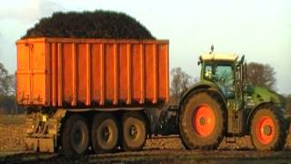 fendt 930 met carrier in schorseneren [upl. by Raddie638]