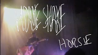 Homeshake  Horsie live Thalia Hall [upl. by Ecnal571]