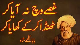 baba bulleh shah gusse vich na aaya kar  bulleh shah poetry 2023  bulleh shah  Virsa Poetry [upl. by Noah930]