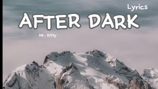 Mr Kitty  After Dark Lyrics [upl. by Herbert556]