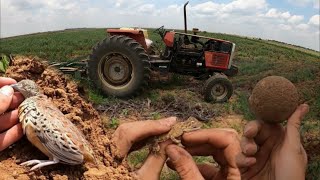 Blowgun Hunting Off A Tractor Better Or Worse Than Walk And Stalk [upl. by Lucian1]