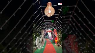 Destination WeddingFarm houseDehradun wedding dehradunevents doonfarm decoration viralshorts [upl. by Eittod146]