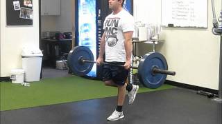 Single Leg Deadlifts [upl. by Aramal]