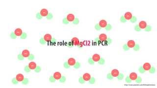 The role of MgCl2 in PCR  simple animated HD [upl. by Enahpets707]