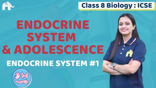 Endocrine System amp Adolescence Class 8 ICSE Biology Chapter 5  Selina  Endocrine System 1 [upl. by Ayimat]