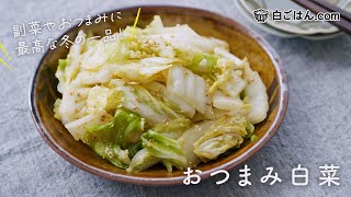 箸が止まらない！おつまみ白菜の作り方白菜の大量消費にもおすすめ [upl. by Sotsirhc]